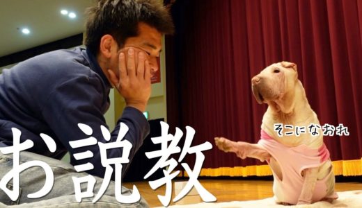 うちのお犬様🐷の「飼い主の悩み相談」が可愛くて救われる。