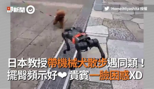 日本機械犬散步 遇到貴賓狗 擺臀示好：一起來玩吧｜狗狗｜機器人｜寵物