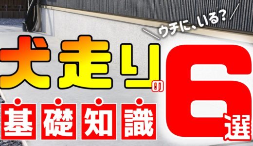 犬走りってなんなの？ウチにはいる？