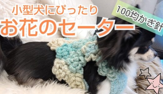 【かぎ針犬用セーター】お花モチーフをつなげた可愛い犬用セーターを編んでみました