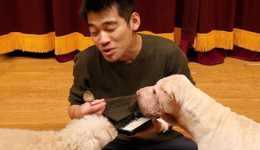 犬用クリームシチューうまそうだから俺も食べたい。