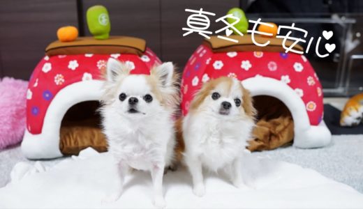 一度使うと手放せない！真冬でも安心の犬用ヒーターで超快適