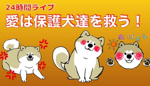 【重要なお知らせ】最終回「秋田犬アキラ見守りたい！」