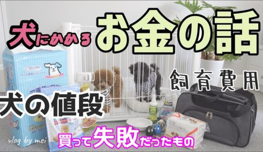 【お金の話】犬の価格/実際にかかった金額～失敗したものまで