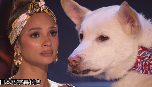 【和訳】会場中が涙、アマンダと犬のミラクル | BGT 2020