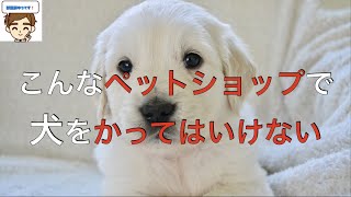 【獣医がおしえる】こんなペットショップで犬をかってはいけない