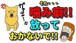 【犬 噛み癖・甘噛み】この噛み方に要注意！絶対に放っておかない方が良い噛み方！新遠藤エマチャンネル【犬のしつけ＠横浜】