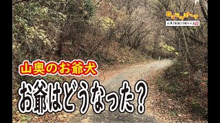 【犬】山奥のお爺犬　その後どうなった？