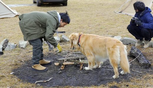 焚き火を積む人 VS 焚き火を崩す犬