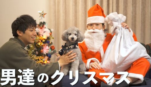 🐶犬とアラサー独身男達のクリスマスパーティの様子がこちらです。【トイプードル】