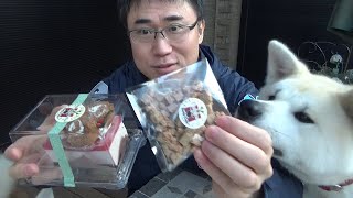 予約して買った「犬用」クリスマスケーキ。