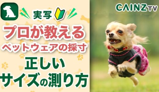 犬の服のサイズの測り方｜ペットウェアの正しい採寸方法