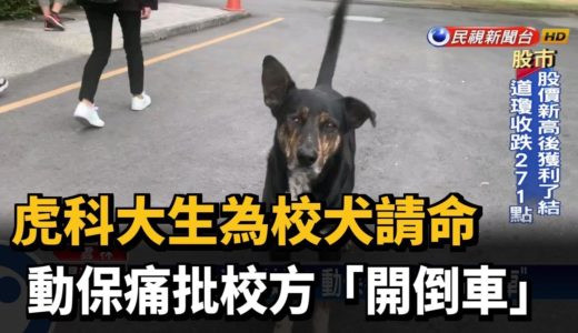 虎科大生為校犬請命 動保痛批校方「開倒車」－民視新聞