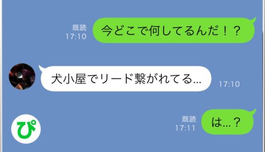 【LINE】クソ姑が嫁を犬扱い「ご近所さんと大爆笑w」旦那がいない間に外へ閉め出し恥をかかせた→SOSを受けた旦那から”嫁の正体”を知らされた姑の反応、その末路にワロタw【スカッと修羅場】