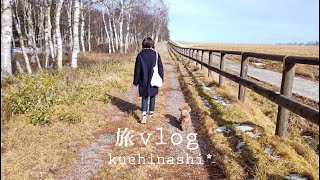 【旅vlog】蓼科高原へ犬と旅行vlogといつもの日常。