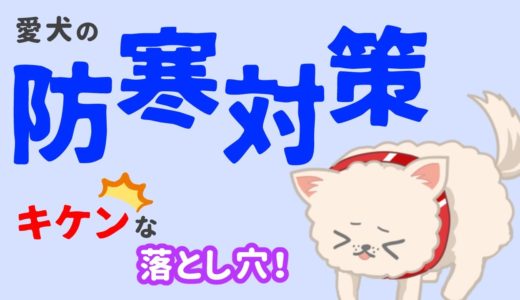 犬の寒さ対策！見落としやすい5つの注意点