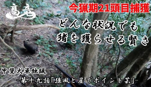 甲斐犬単独猟「強風と崖でのポイント芸」Japanese hunting kaidog