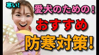 【犬 防寒暖房】愛犬におススメ防寒対策、室内温度は何度がいい？留守中や就寝中はどうしたらいい？エアコン以外の防寒対策はある？新遠藤エマチャンネル【犬のしつけ＠横浜】