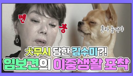 김수미 '犬무시' 당하다?!ㅋㅋㅋㅋ 댕댕이의 이중생활 포착!🐕 [#우리집에해피가왔다]