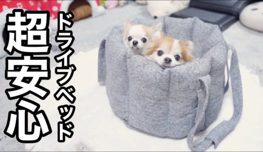 新しい犬用ドライブベッドを買ったら想像以上に快適でした！