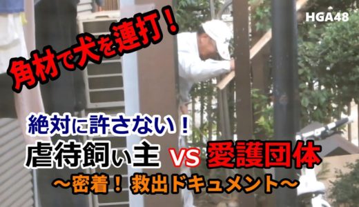 「飼い主を告発！角材で犬を叩く / 絶対に許さない、虐待飼い主 vs 動物愛護団体 虐待犬救出までの密着ドキュメント」