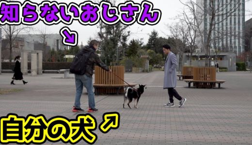 居るはずのない場所で自分の犬が知らないおっさんに連れられていたら気づくのか