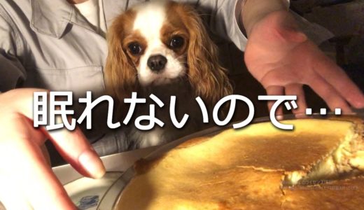 犬も起きる…深夜２時から作る濃厚チーズケーキ