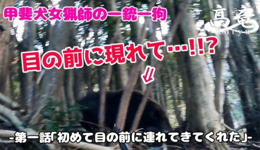 甲斐犬女猟師の一銃一狗 第一話「初めて目の前に連れてきてくれた」Japanese hunting kaidog