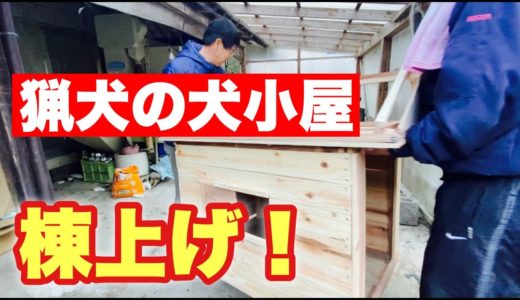 【棟上げ】猟犬の犬小屋は頑丈に作れ！ Vo3