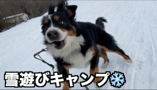 犬連れ雪遊びバンガロー泊【キャンプ】