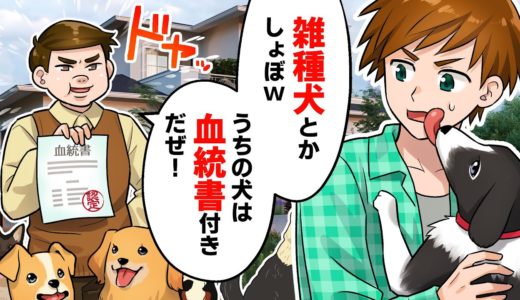 【LINE】血統書付きの犬を飼って金持ちアピールする同級生「雑種犬とか飼う価値なしw」→見下していた雑種犬が意外な血筋だったことが判明した結果w（スカッとする話）