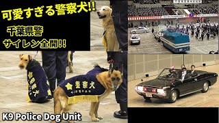 警察犬カワイイ千葉県警 サイレン全開行進!! Chiba Pref. Police police dog unit