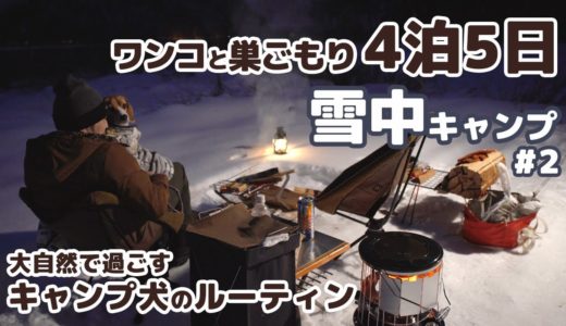 【キャンプ】- 大自然で過ごす キャンプ犬ルーティン – 4泊5日 ワンコと巣ごもり 雪中キャンプ #2