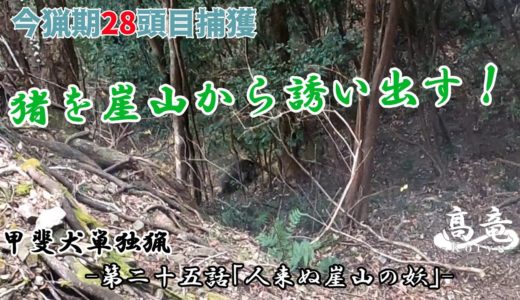 甲斐犬単独猟 第二十五話「人来ぬ崖山の妖」Japanese hunting kaidog