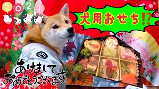 犬用おせちに大興奮⁉︎(°▽°)