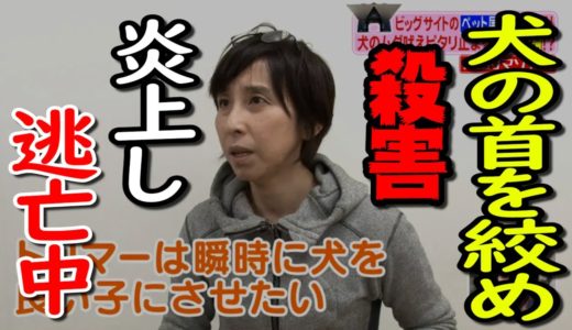 【大山田真美】わんわんハウス若松で動物虐待多発！犬を虐待死させ逃亡！