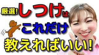 【犬 しつけ】しつけはこれだけ教えればいい!① 教える順番も解説します 新遠藤エマチャンネル【犬のしつけ＠横浜】