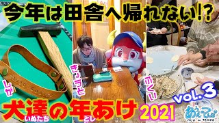 【2021】新年だ田舎へ帰れない!?犬達の年明けvol.3【完結編】