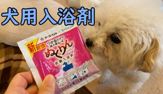 犬用入浴剤を使ってみました