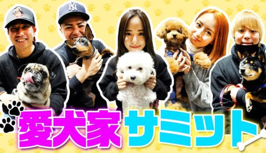 【愛犬家サミット】犬が好きすぎるYouTuber大集合！