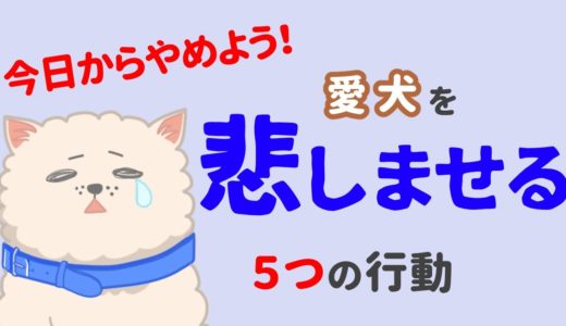 悪気がなくてもダメ！犬を悲しませる飼い主の行動