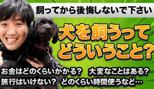 【飼ってから後悔しないで下さい！】犬を飼うってどういう事？お金はどのくらいかかる？大変なことはある？旅行はいけない？どのくらい時間使う？