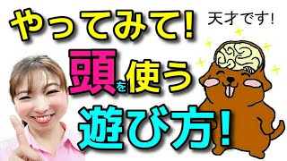 【犬 遊び】短い時間で凄い達成感！遊んでも疲れない！おもちゃすぐ飽きる愛犬は頭を使った遊びをするといい！新 遠藤エマチャンネル【犬のしつけ＠横浜】