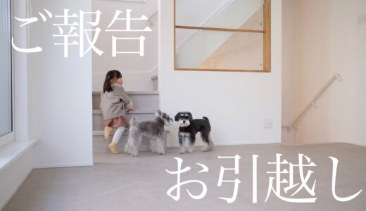 【家が建ちました】新居お引き渡し当日の犬と子供たちの様子【シュナウザージジトト】