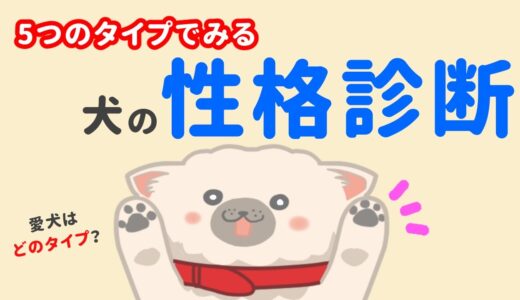 【犬の性格診断】愛犬をもっと理解できる！5つのタイプ別行動パターン