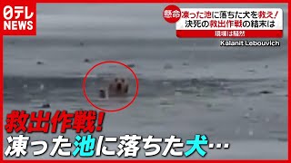 凍った池に落ちた犬を救え！決死の救出作戦　アメリカ （2021年2月16日放送「news every.」より）