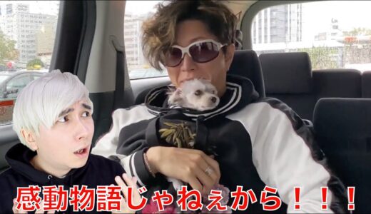 GACKT愛犬を里子に出して炎上。。。(犬押し付けお涙頂戴物語)