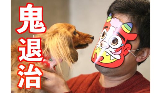 【元保護犬】初めて鬼を見た愛犬のリアクション／節分／恵方巻【カニンヘンダックスえびすの日常】♯６３