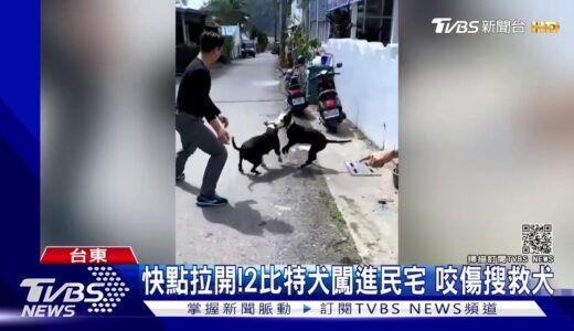 快點拉開!2比特犬闖進民宅 咬傷搜救犬｜TVBS新聞