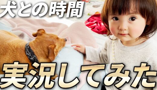 犬たちとの時間を実況報告しながら楽しむ1歳娘